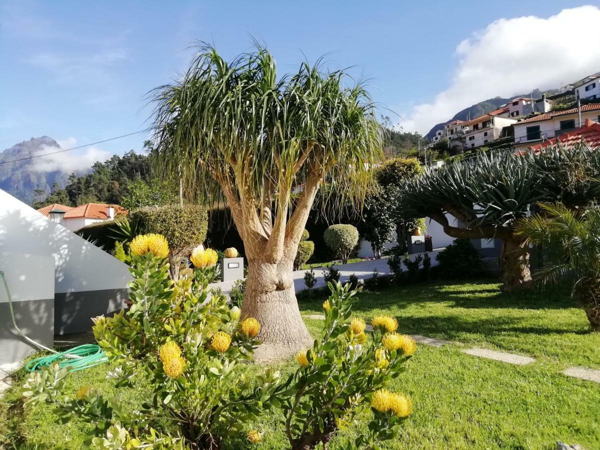 Granny'S Farm Guest House São Vicente Exterior photo